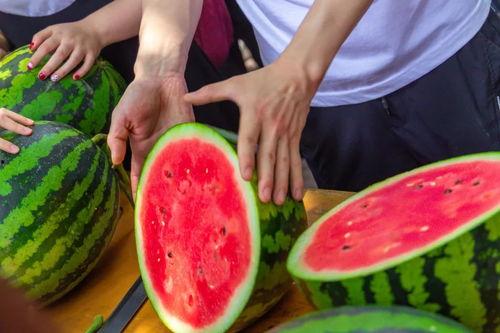 51吃瓜fun吃瓜网江苏师范大学,51吃瓜fun吃瓜网带你揭秘校园风云